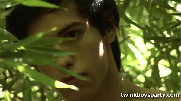 أفضل Twinks Anibal and Julian Fuck Outdoors المقاطع الضخمة