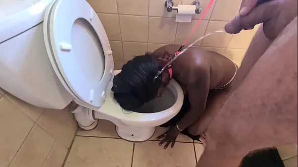 Meilleurs Desi pute se fait promener comme un chien jusqu'aux toilettes pour se faire pisser le visage et sucer une bite méga-clips