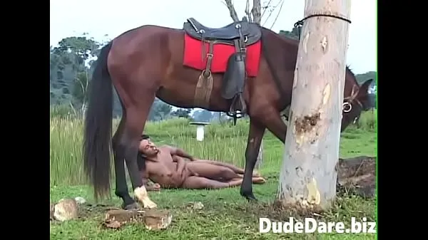 Melhores Horny ranch buds bang hardcore outdoors mega clipes